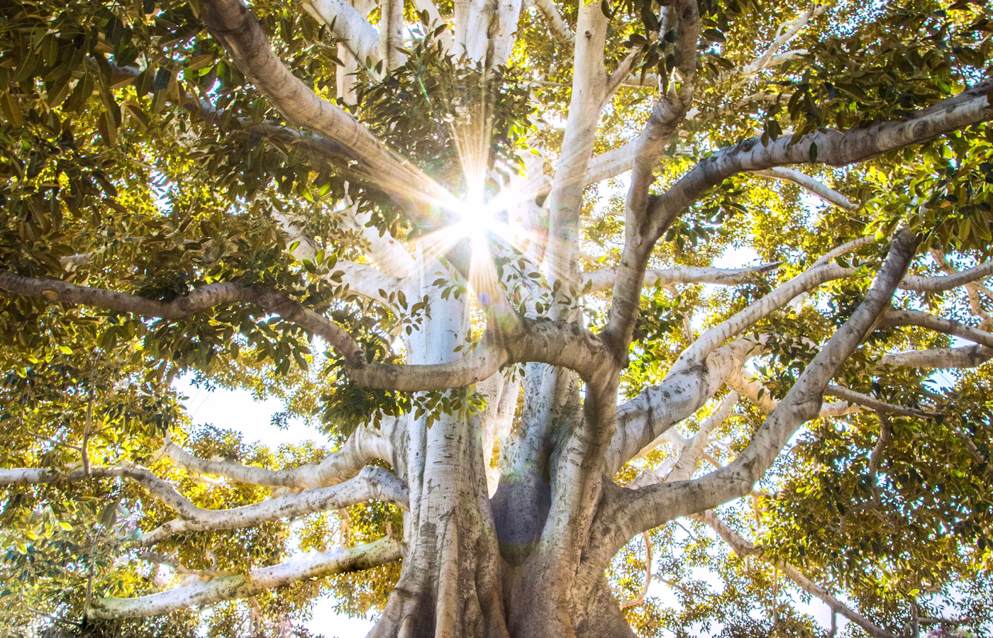 Здоровый ритм дня для основателя